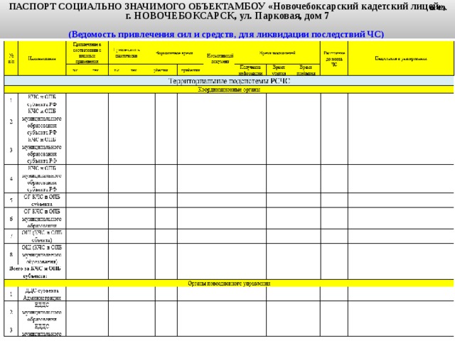 Паспорт социально значимого проекта