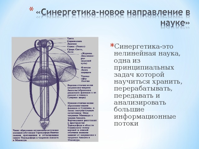 Представление человека в науке