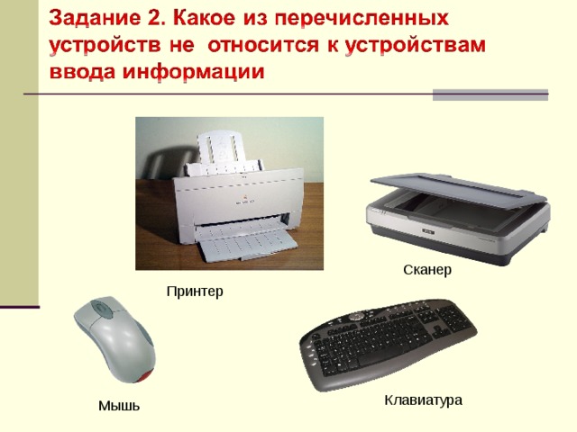 Из перечисленных устройств. Клавиатура, мышь и сканер – это устройства……. Принтер сканер клавиатура мышь. Принтер мышь клавиатура. Принтер является устройством ввода информации.