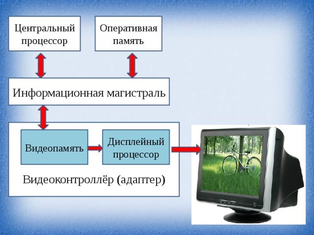 Область информатики занимающаяся проблемами получения различных изображений на компьютере называется