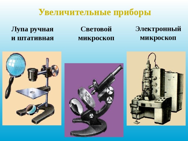 Увеличительные приборы Электронный микроскоп Лупа  ручная и штативная Световой микроскоп 