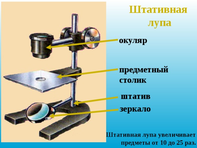 Штативная  лупа окуляр предметный столик штатив зеркало Штативная лупа увеличивает предметы от 10 до 25 раз. 