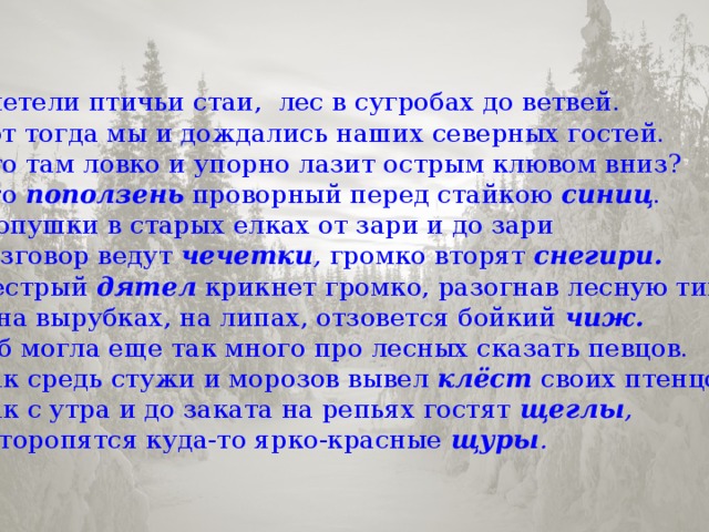 Улетели птичьи стаи, лес в сугробах до ветвей. Вот тогда мы и дождались наших северных гостей. Кто там ловко и упорно лазит острым клювом вниз? Это поползень проворный перед стайкою синиц . У опушки в старых елках от зари и до зари Разговор ведут чечетки , громко вторят снегири. Пестрый дятел  крикнет громко, разогнав лесную тишь, А на вырубках, на липах, отзовется бойкий чиж. Я б могла еще так много про лесных сказать певцов. Как средь стужи и морозов вывел клёст  своих птенцов. Как с утра и до заката на репьях гостят щеглы , И торопятся куда-то ярко-красные щуры .