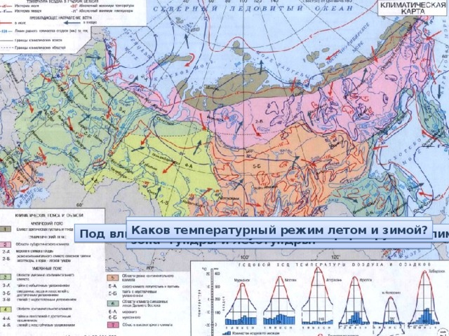 Климатические пояса контурная карта 8 класс. Контурная карта климат России 8 температура. Зона тундра на карте климатических поясов. Климатическая карта Арктики. Арктический климат на карте.