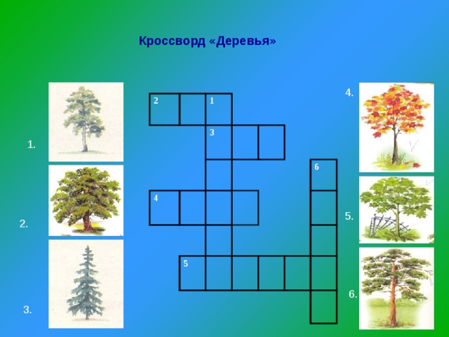 Тест кустики 4 класс с ответами. Кроссворд деревья. Кроссворд про деревья для детей. Кроссворд на тему деревья. Сканворд деревья.