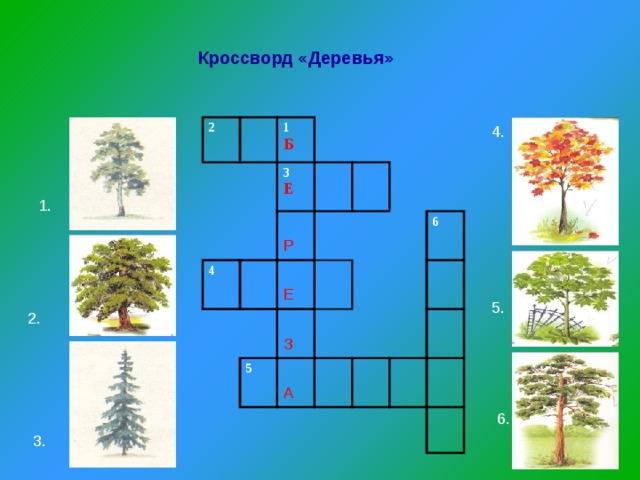 ХВОЙНЫЙ ЛЕС. - 3 - 11 Букв - Ответ на кроссворд & сканворд