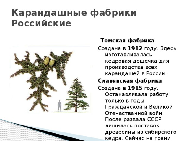 Карандашные фабрики  Российские  Томская фабрика Создана в 1912 году. Здесь изготавливалась кедровая дощечка для производства всех карандашей в России. Славянская фабрика Создана в 1915 году. Останавливала работу только в годы Гражданской и Великой Отечественной войн. После развала СССР лишилась поставок древесины из сибирского кедра. Сейчас на грани банкротства.  