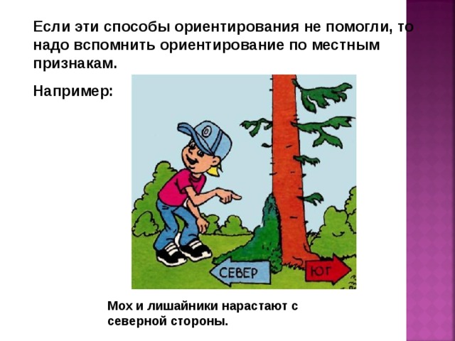 Зачем нужен план чтобы не заблудиться в лесу 3 класс 21 век презентация