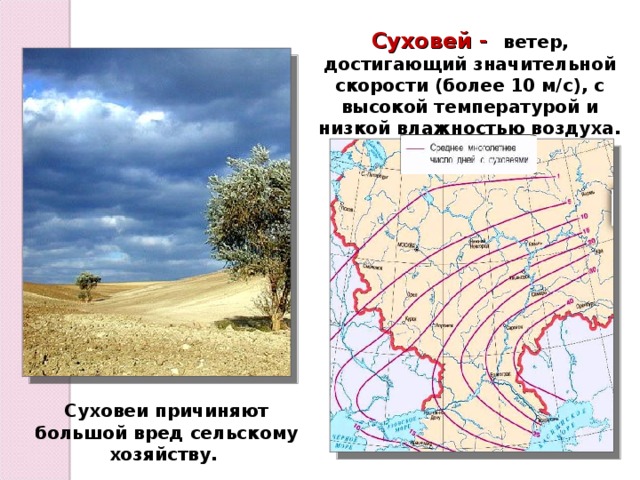 Суховей - ветер, достигающий значительной скорости (более 10 м/с), с высокой температурой и низкой влажностью воздуха. Суховеи причиняют большой вред сельскому хозяйству. 