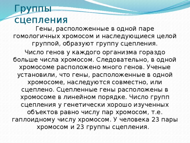 Группы сцепления Гены, расположенные в одной паре гомологичных хромосом и наследующиеся целой группой, образуют группу сцепления. Число генов у каждого организма гораздо больше числа хромосом. Следовательно, в одной хромосоме расположено много генов. Ученые установили, что гены, расположенные в одной хромосоме, наследуются совместно, или сцеплено. Сцепленные гены расположены в хромосоме в линейном порядке. Число групп сцепления у генетически хорошо изученных объектов равно числу пар хромосом, т.е. гаплоидному числу хромосом. У человека 23 пары хромосом и 23 группы сцепления. 