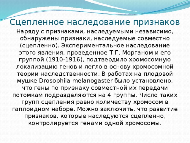 Сцепленное наследование признаков Наряду с признаками, наследуемыми независимо, обнаружены признаки, наследуемые совместно (сцепленно). Экспериментальное наследование этого явления, проведенное Т.Г. Морганом и его группой (1910-1916), подтвердило хромосомную локализацию генов и легло в основу хромосомной теории наследственности. В работах на плодовой мушке Drosophila melanogaster было установлено, что гены по признаку совместной их передачи потомкам подразделяются на 4 группы. Число таких групп сцепления равно количеству хромосом в гаплоидном наборе. Можно заключить, что развитие признаков, которые наследуются сцепленно, контролируется генами одной хромосомы. 