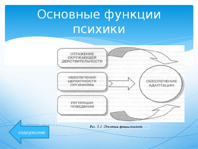 Презентация понятие о психике