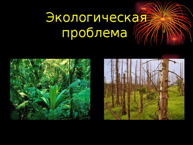 Экологическая проблема  