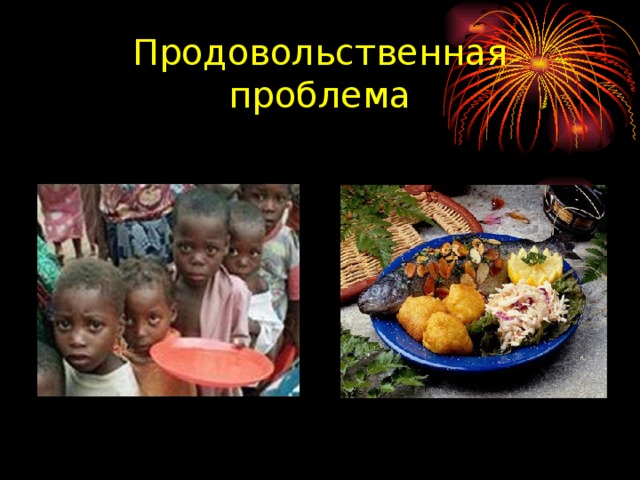 Продовольственная проблема 