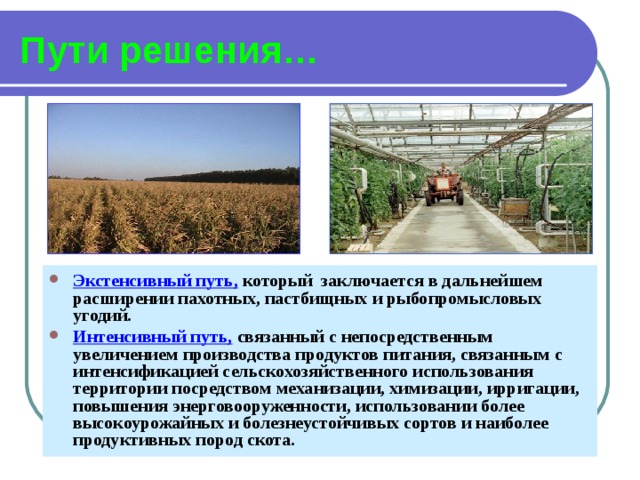Пути решения… Экстенсивный путь, который заключается в дальнейшем расширении пахотных, пастбищных и рыбопромысловых угодий. Интенсивный путь, связанный с непосредственным увеличением производства продуктов питания, связанным с интенсификацией сельскохозяйственного использования территории посредством механизации, химизации, ирригации, повышения энерговооруженности, использовании более высокоурожайных и болезнеустойчивых сортов и наиболее продуктивных пород скота. 