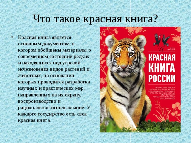 Творческий проект на тему красная книга