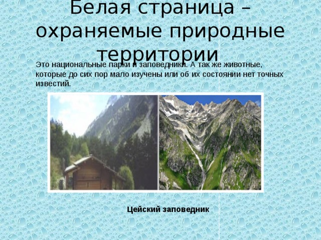 Белая страница – охраняемые природные территории Это национальные парки и заповедники. А так же животные, которые до сих пор мало изучены или об их состоянии нет точных известий. Цейский заповедник