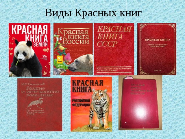 Виды Красных книг