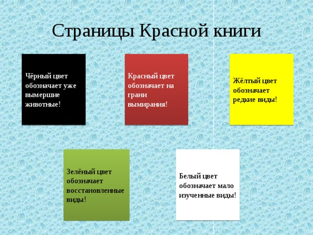 Категории видов красной книги. Какие цвета листов в красной книге. Цветные страницы красной книги. Какие страницы в красной книге. Цвета страниц красной книги.