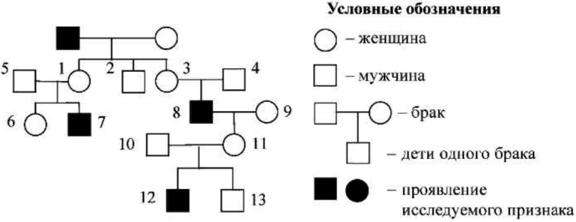 По изображенной на рисунке родословной установите характер наследования