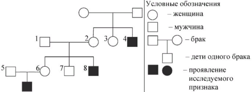 В медицинской генетике широко используется генеалогический метод используя предложенную схему