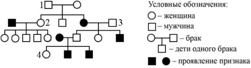 По изображенной на рисунке родословной установите характер проявления признака обозначенного черным цветом