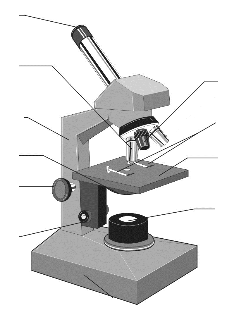 Микроскоп без подписей. Световой микроскоп строение макровинт. Микровинт светового микроскопа. Что такое окуляр в микроскопе биология. Штативный микроскоп строение.