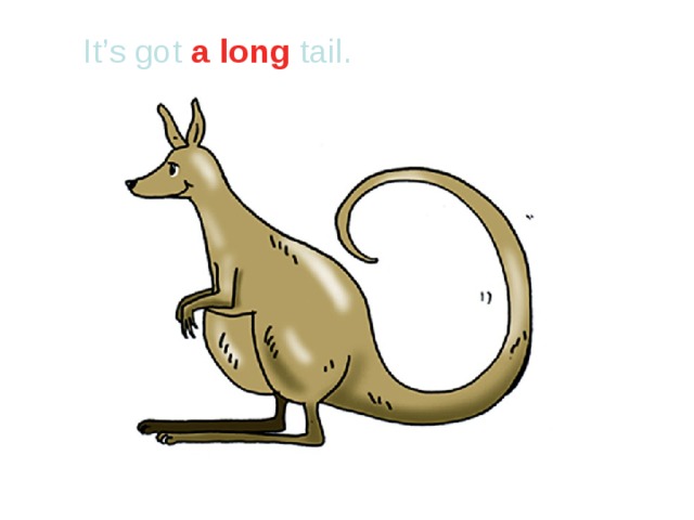 It’s got a long tail.  