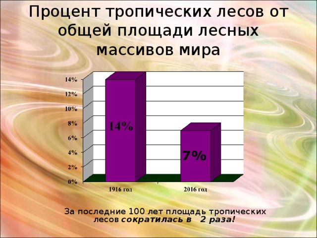 Процент тропических лесов от общей площади лесных массивов мира  За последние 100 лет площадь тропических лесов сократилась в 2 раза ! 