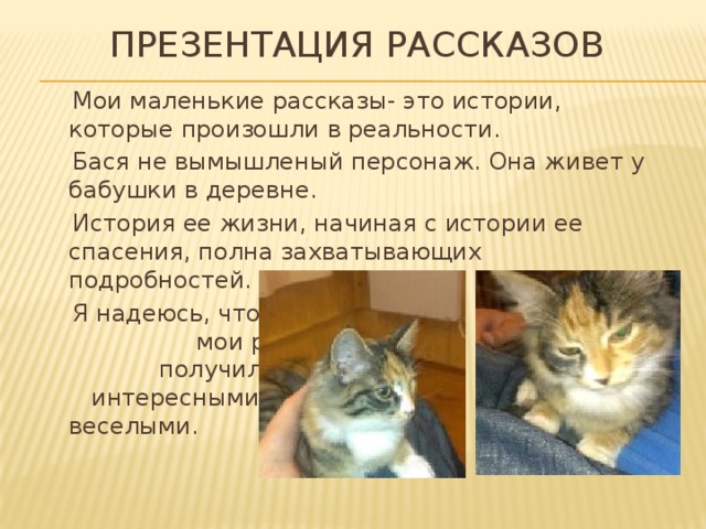  Презентация рассказов  Мои маленькие рассказы- это истории, которые произошли в реальности.  Бася не вымышленый персонаж. Она живет у бабушки в деревне.  История ее жизни, начиная с истории ее спасения, полна захватывающих подробностей.  Я надеюсь, что мои рассазы получились интересными и веселыми. 