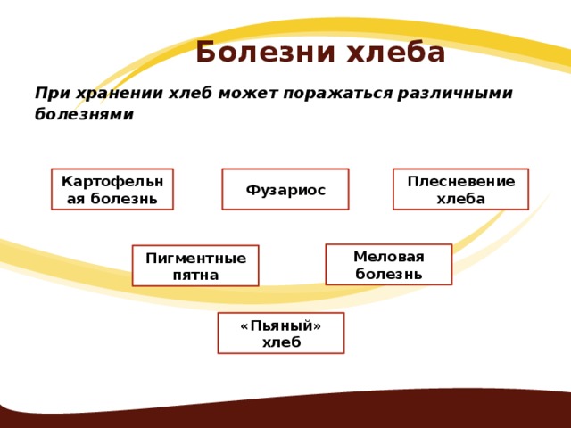 Болезни хлеба исследовательский проект