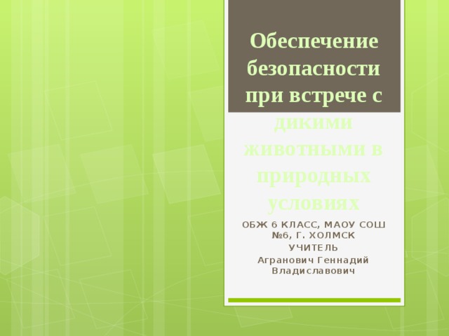 Обеспечение безопасности при встрече с дикими животными в природных условиях ОБЖ 6 КЛАСС, МАОУ СОШ №6, Г. ХОЛМСК УЧИТЕЛЬ Агранович Геннадий Владиславович 