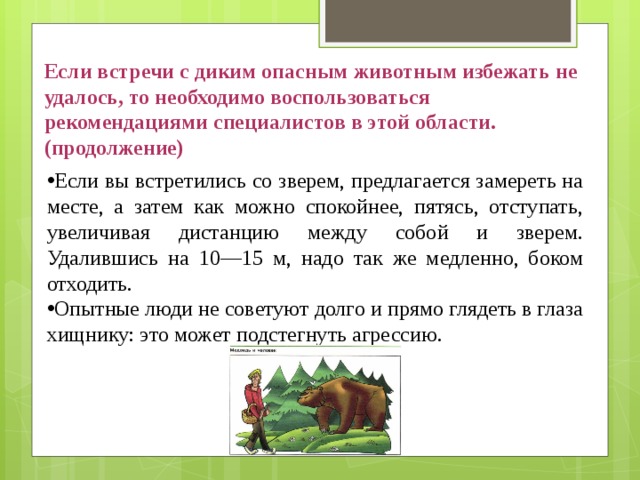 Если встречи с диким опасным животным избежать не удалось, то необходимо воспользоваться рекомендациями специалистов в этой области. (продолжение) Если вы встретились со зверем, предлагается замереть на месте, а затем как можно спокойнее, пятясь, отступать, увеличивая дистанцию между собой и зверем. Удалившись на 10—15 м, надо так же медленно, боком отходить. Опытные люди не советуют долго и прямо глядеть в глаза хищнику: это может подстегнуть агрессию. 