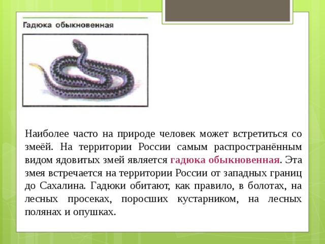 Наиболее часто на природе человек может встретиться со змеёй. На территории России самым распространённым видом ядовитых змей является  гадюка обыкновенная . Эта змея встречается на территории России от западных границ до Сахалина. Гадюки обитают, как правило, в болотах, на лесных просеках, поросших кустарником, на лесных полянах и опушках. 