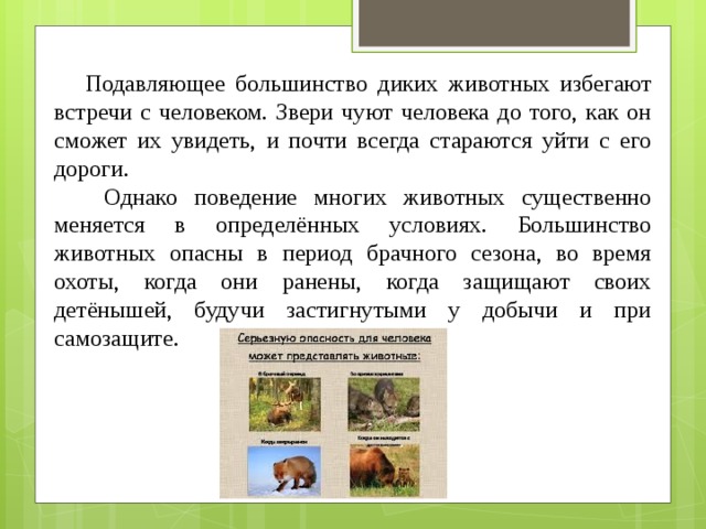 Презентация на тему обеспечение безопасности при встрече с дикими животными в природных условиях