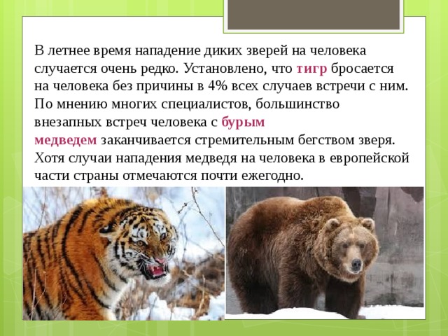 Презентация на тему обеспечение безопасности при встрече с дикими животными в природных условиях