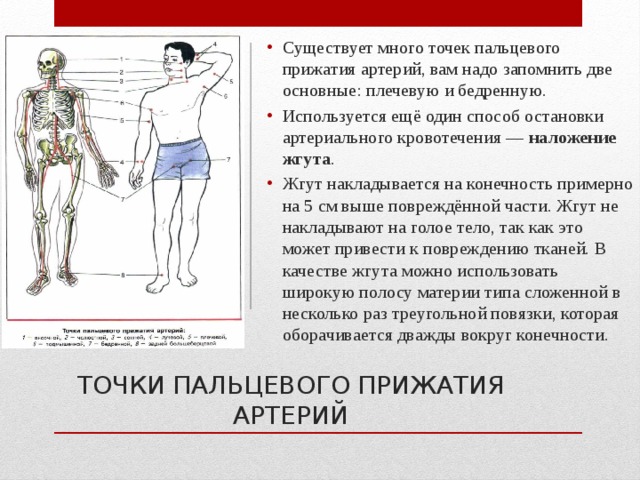 Оказание первой помощи при наружном кровотечении презентация по обж 7 класс