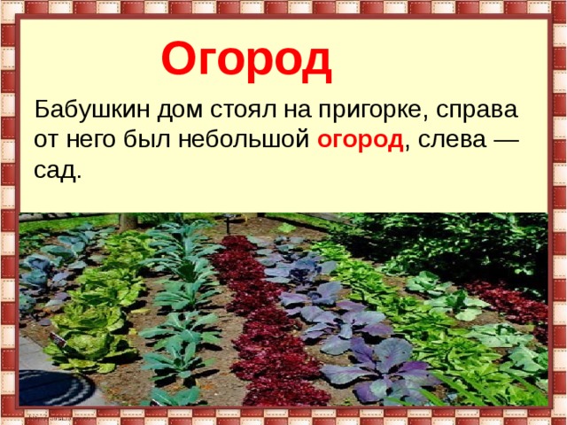 Слово огород. Предложение со словом огород. Предложение со словом грядка. Предложение со словом огород 3 класс. Предложение со словом огородик.