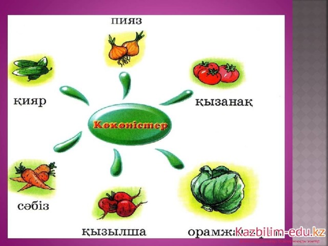 Жемістер тех карта балабақшада