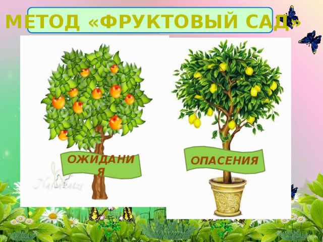 МЕТОД «ФРУКТОВЫЙ САД» ОПАСЕНИЯ ОЖИДАНИЯ 
