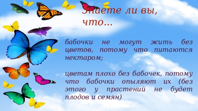 Презентация 1 класс почему не будем рвать цветы и ловить бабочек 1 класс