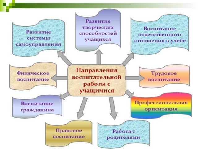 Кто является автором проекта здравосозидающая школа направленного на воспитание у школьников