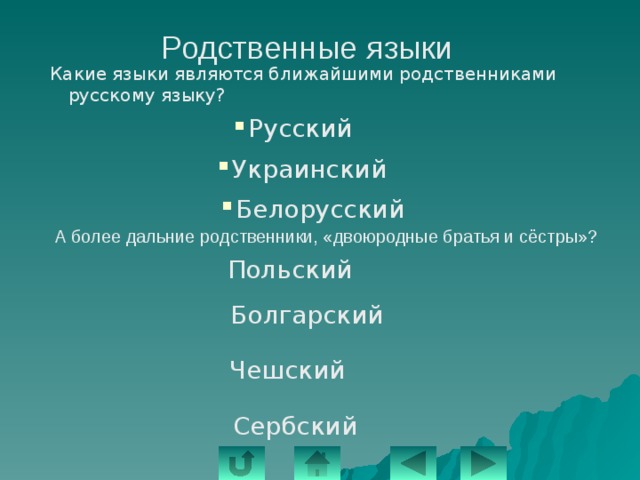 Родственные языки  Какие языки являются ближайшими родственниками русскому языку? Русский Украинский Белорусский А более дальние родственники, «двоюродные братья и сёстры»? Польский Болгарский Чешский Сербский 