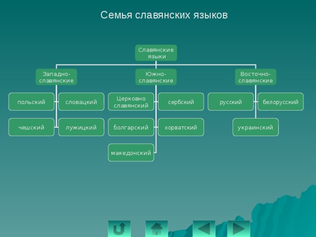 Семья славянских языков Славянские  языки Восточно- Западно- Южно- славянские славянские славянские сербский польский словацкий белорусский русский Церковно славянский болгарский хорватский лужицкий чешский украинский македонский 