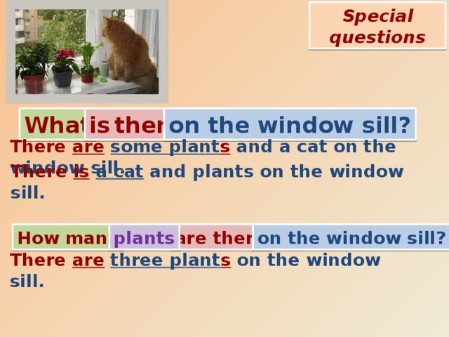 Special questions What on the window sill? is  there There are  some plant s and a cat on the window sill.  There is  a cat and plants on the window sill.  How many are there on the window sill? plants There are  three plant s on the window sill.  