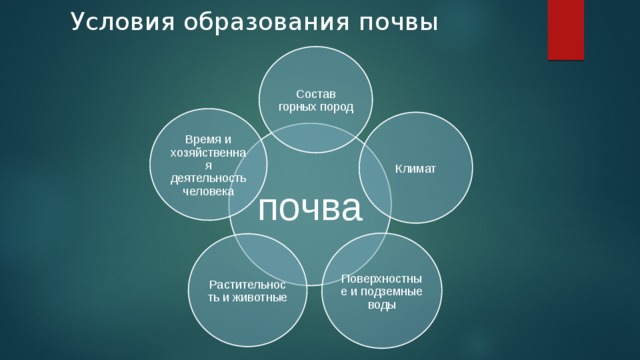 Условия образования почвы Состав горных пород Время и хозяйственная деятельность человека Климат почва Поверхностные и подземные воды Растительность и животные 