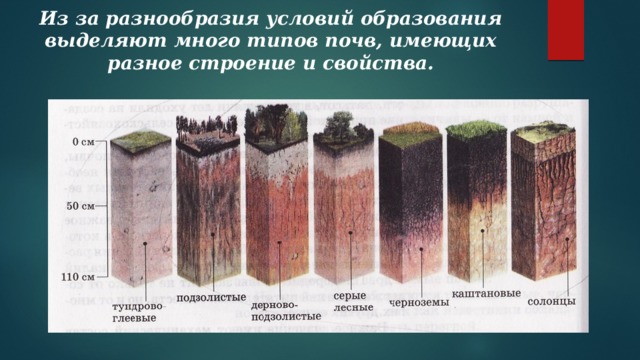 Из за разнообразия условий образования выделяют много типов почв, имеющих разное строение и свойства. 