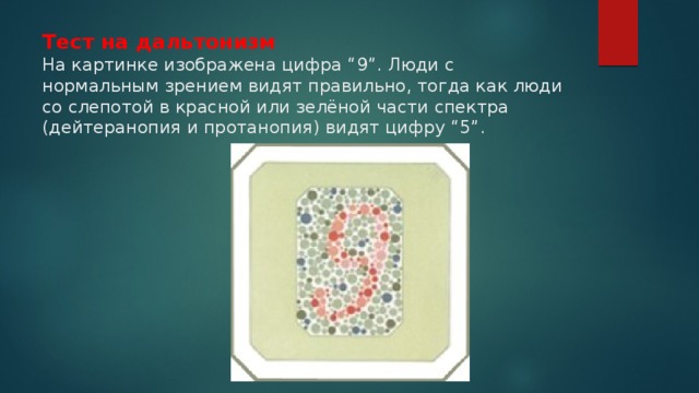 Тест на дальтонизм  На картинке изображена цифра “9”. Люди с нормальным зрением видят правильно, тогда как люди со слепотой в красной или зелёной части спектра (дейтеранопия и протанопия) видят цифру “5”.   
