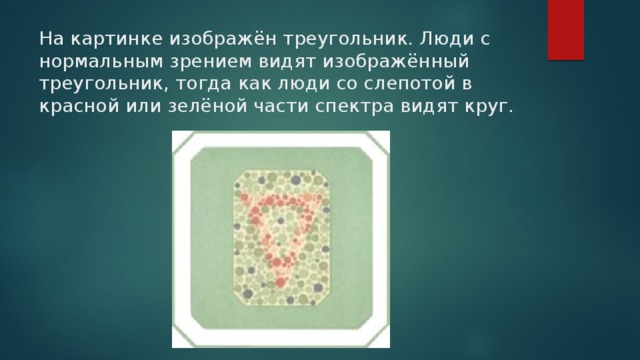 На картинке изображён треугольник. Люди с нормальным зрением видят изображённый треугольник, тогда как люди со слепотой в красной или зелёной части спектра видят круг.   