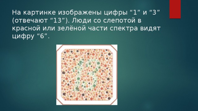 На картинке изображены цифры “1” и “3” (отвечают “13”). Люди со слепотой в красной или зелёной части спектра видят цифру “6”.   